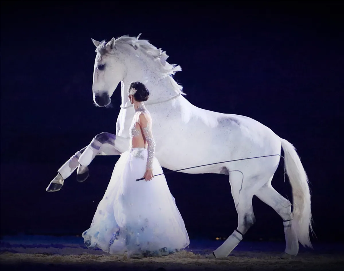 Alizée Froment sera à l’affiche du spectacle original créé spécialement pour le Jumping de Bordeaux.