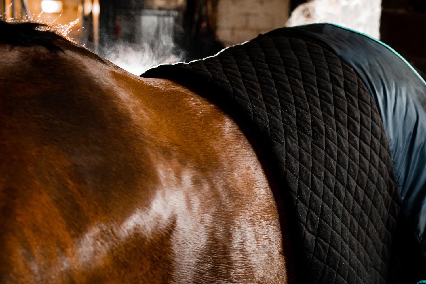 Il existe de très nombreux types de couvertures pour s'adapter aux usages des propriétaires et aux différents chevaux.