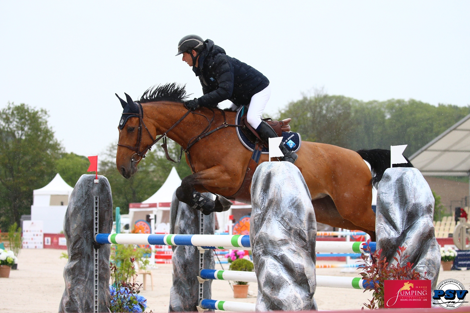 Epona de Ponthual a été classée deuxième dans deux épreuves réservées aux chevaux de sept ans disputées à Bourg-en-Bresse