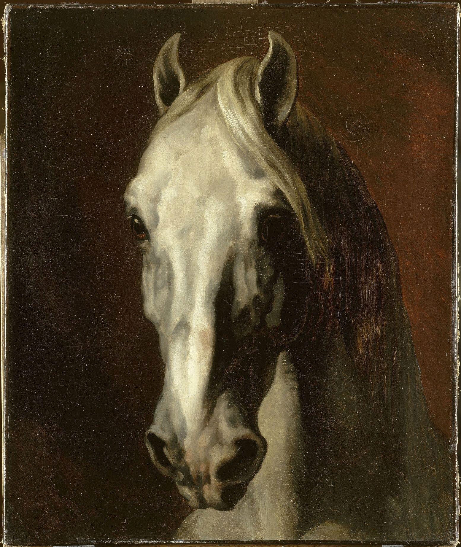 La “Tête de cheval blanc”, un autoportrait équin.