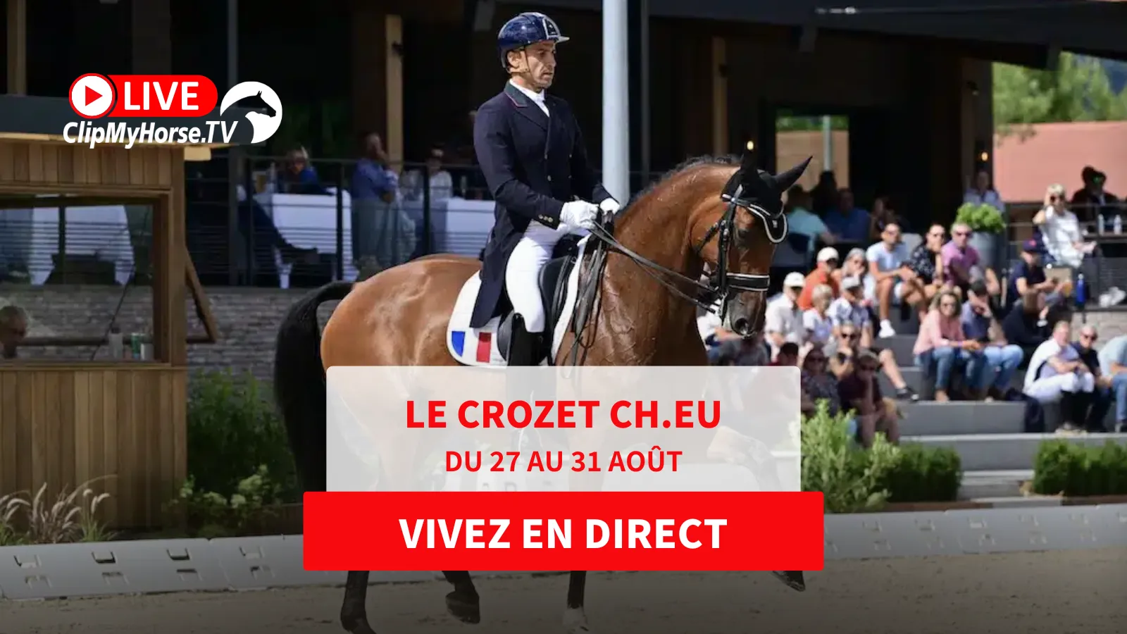 Suivez les championnats d’Europe de dressage sur ClipMyHorse.tv