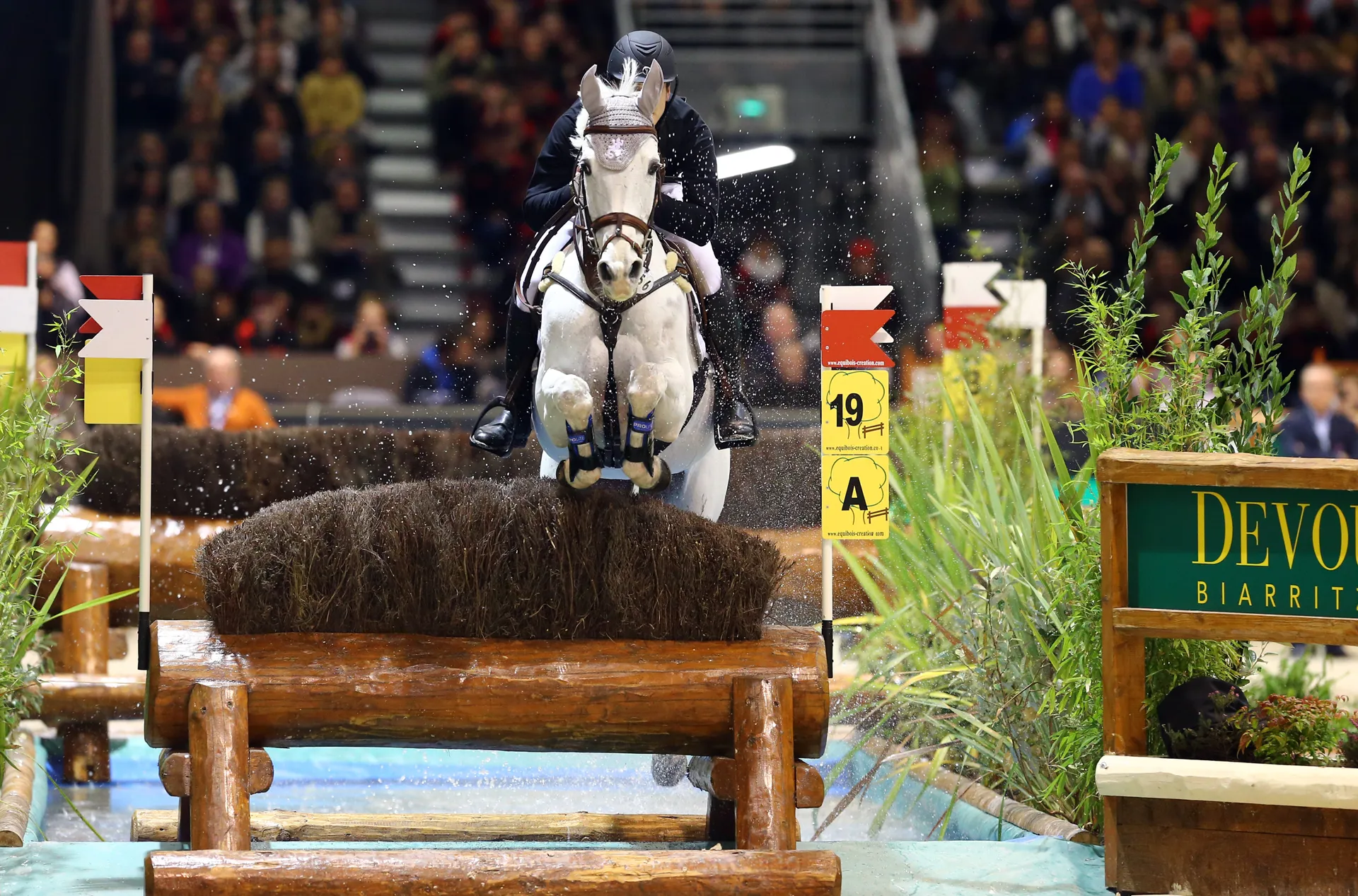Ici en 2015 à Bordeaux, Looping de Buissy a achevé sa belle carrière avec Sidney Dufresne en excellant dans les cross indoor.