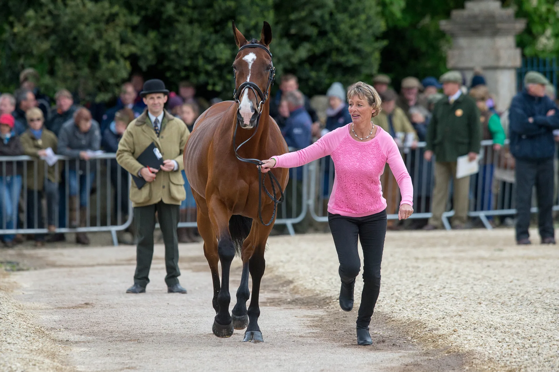 King Mary et Kings Temptress en 2015 à Badminton.