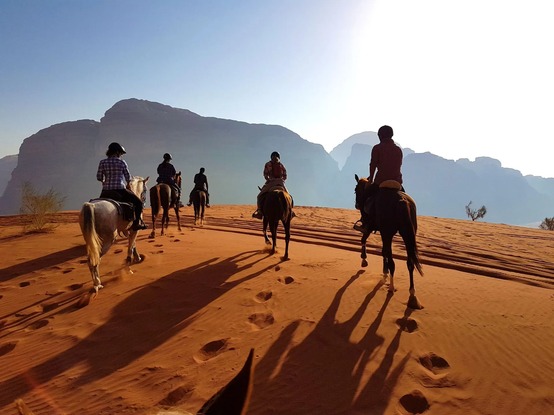 De la cité de Pétra au désert du Wadi Rum, la Jordanie fait partie  des destinations proposées par RandoCheval.