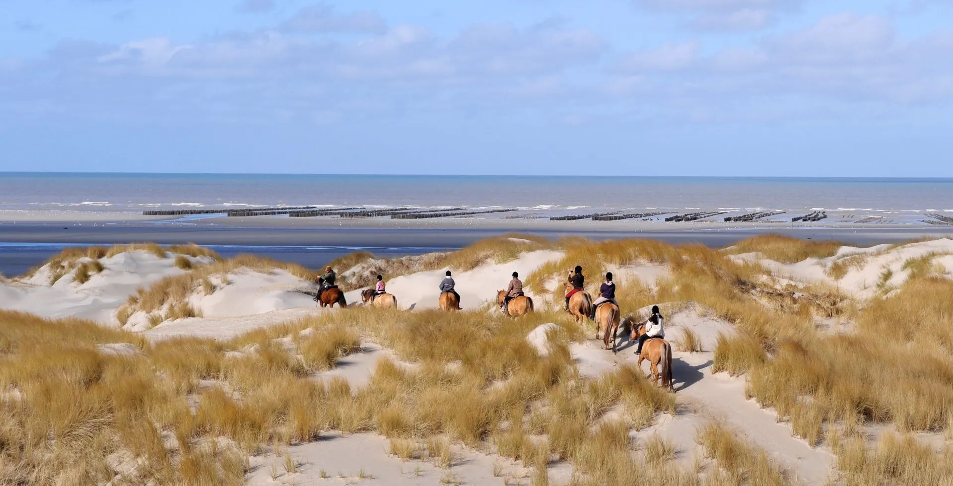 Les escapades entre terre et mer des Espaces Équestres Henson parcourent les paysages de la baie de Somme.