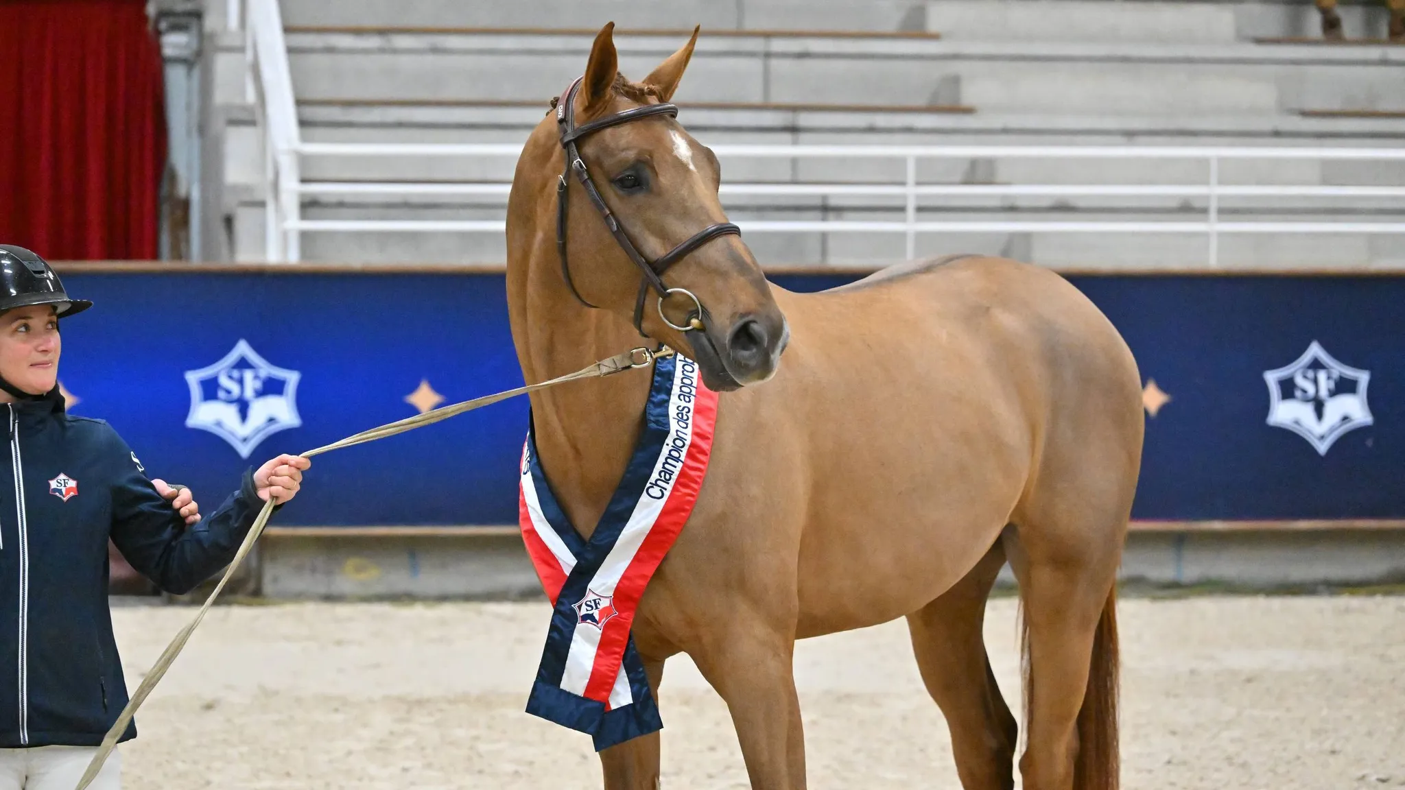 Melting Meni Charm (SF, Pegase van’t Ruytershof x Tinka’s Boy) est sorti victorieux du testage.