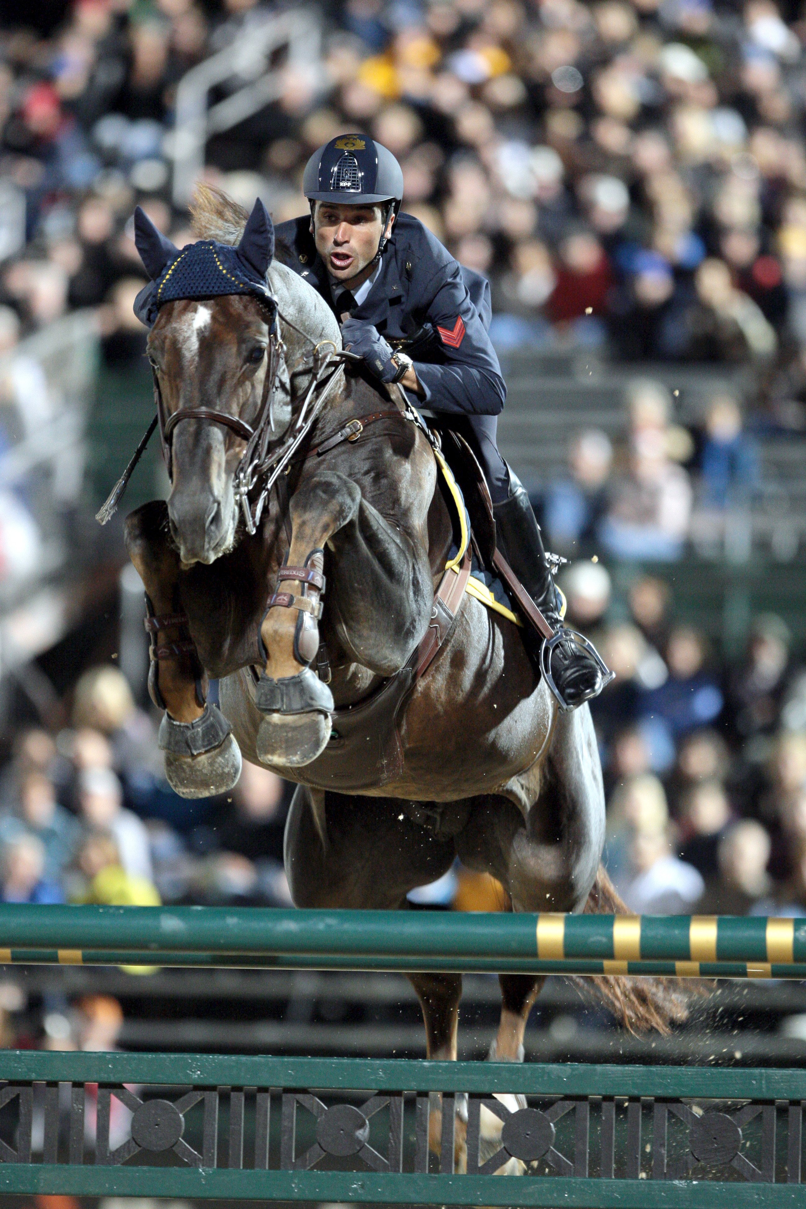 Ici aux Jeux équestres mondiaux de Lexington en 2010, Kapitol d’Argonne a vécu une superbe carrière avec l’Italien Emilio Bicocchi.