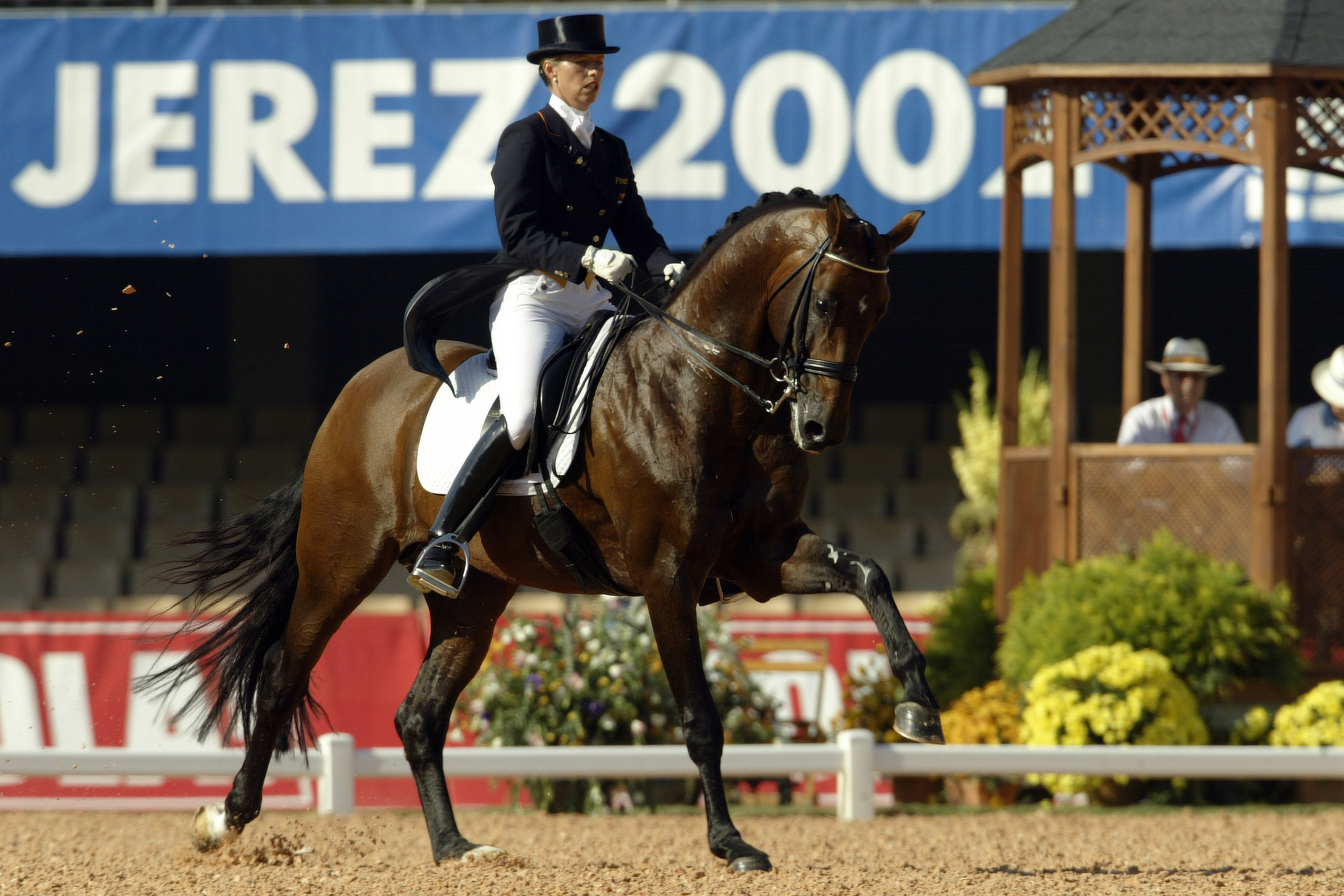 Vivaldi est un fils de Krack C, huitième des Jeux équestres mondiaux de Jerez de la Frontera en 2002 avec la mythique championne Anky van Grunsven.
