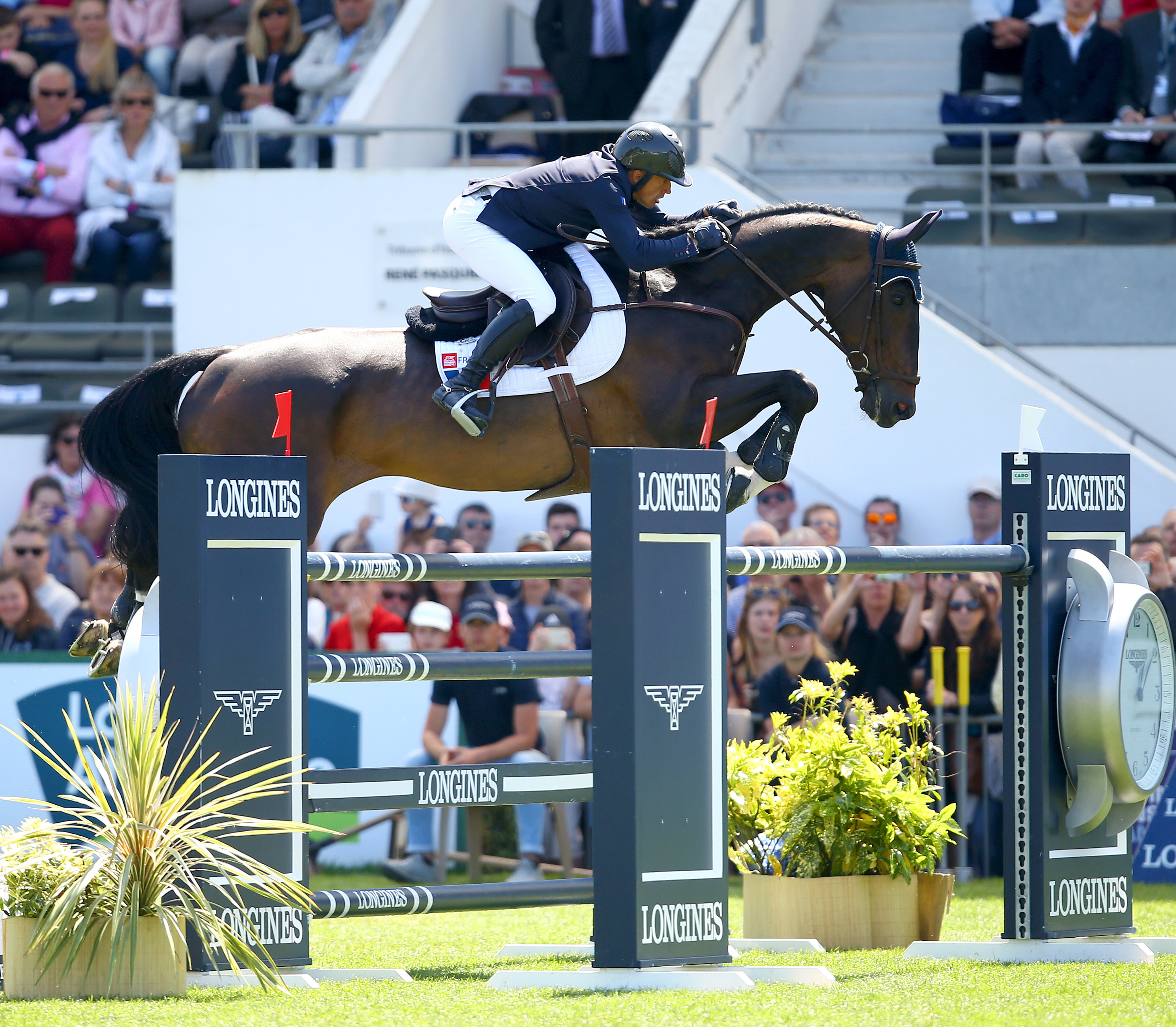 D'après le sondage, Olivier Robert et Eros forment le sixième couple français ayant le plus de chances de faire le voyage à Tryon.