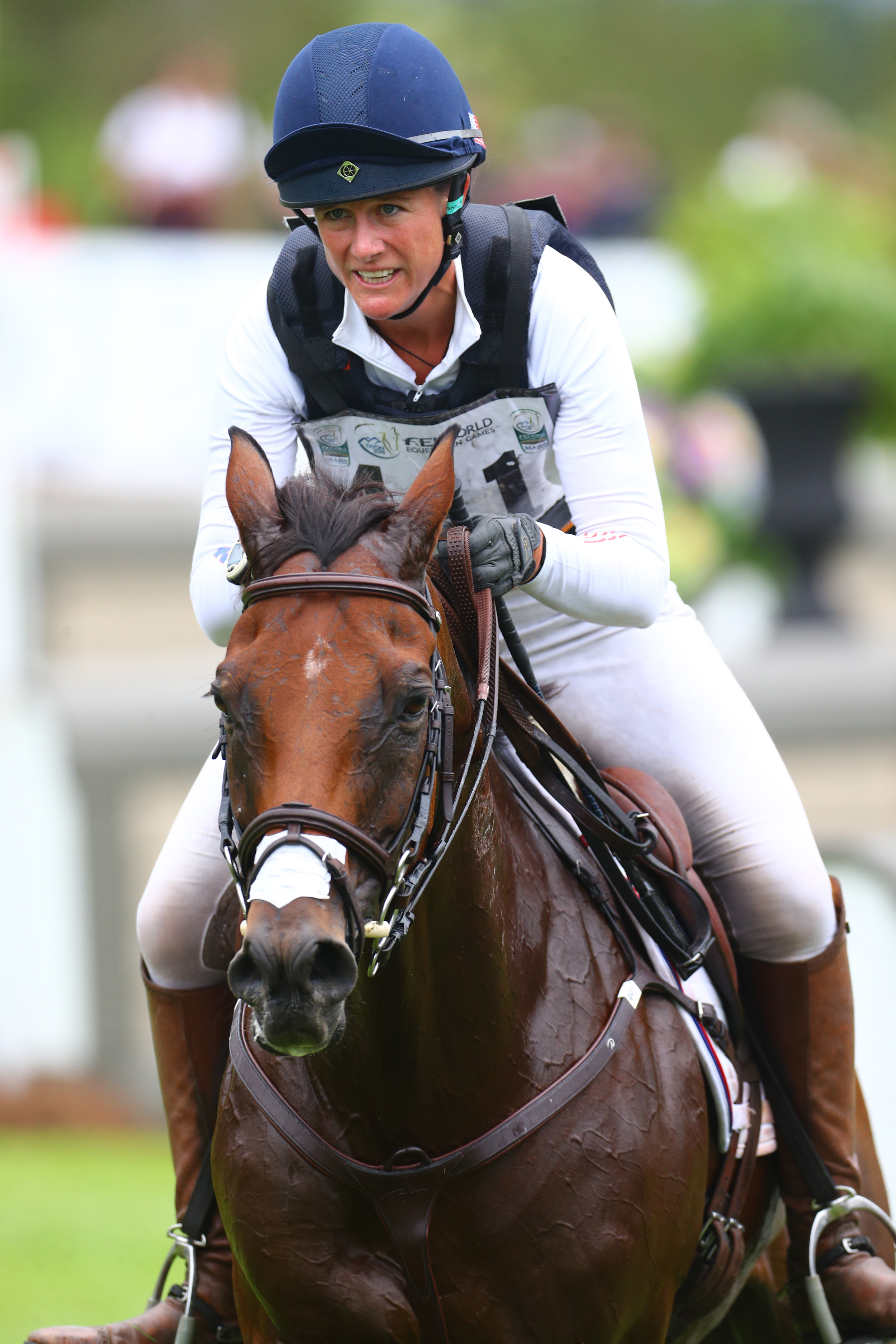 Aux rênes de Vermiculus, Lauren Nicholson a représenté les États-Unis aux Jeux équestres mondiaux de Tryon en 2018.