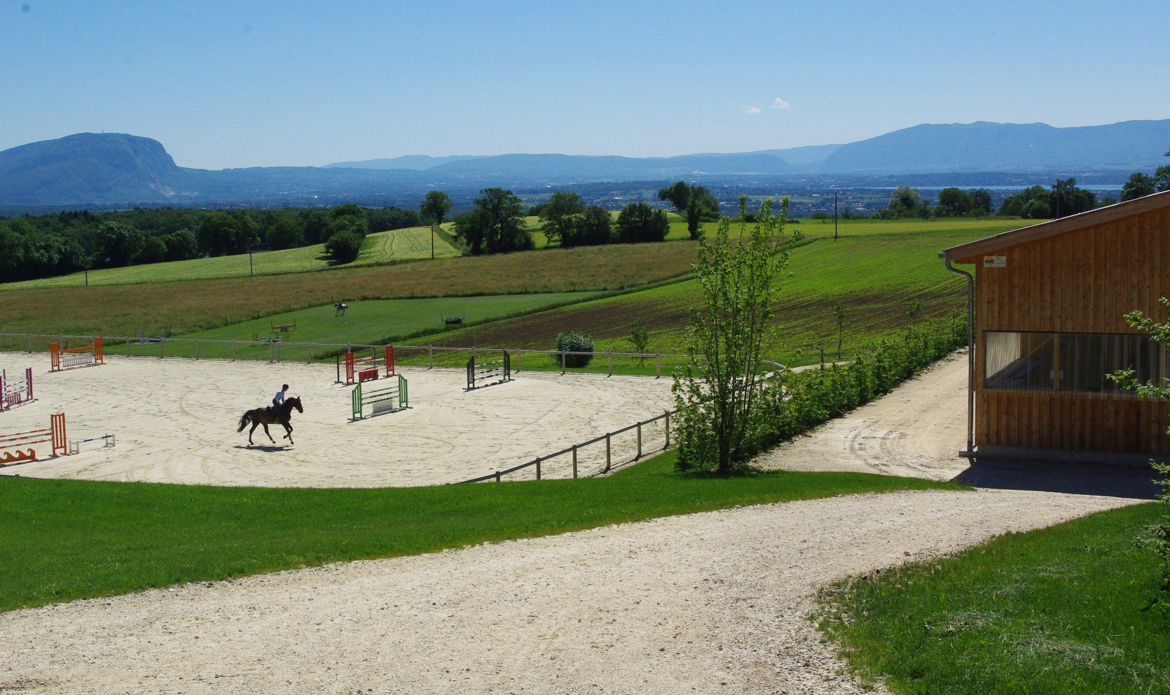 Situé en Haute-Savoie à la frontière suisse, l'élevage de Boisy produit des chevaux SF de sport depuis plus de 25 ans.