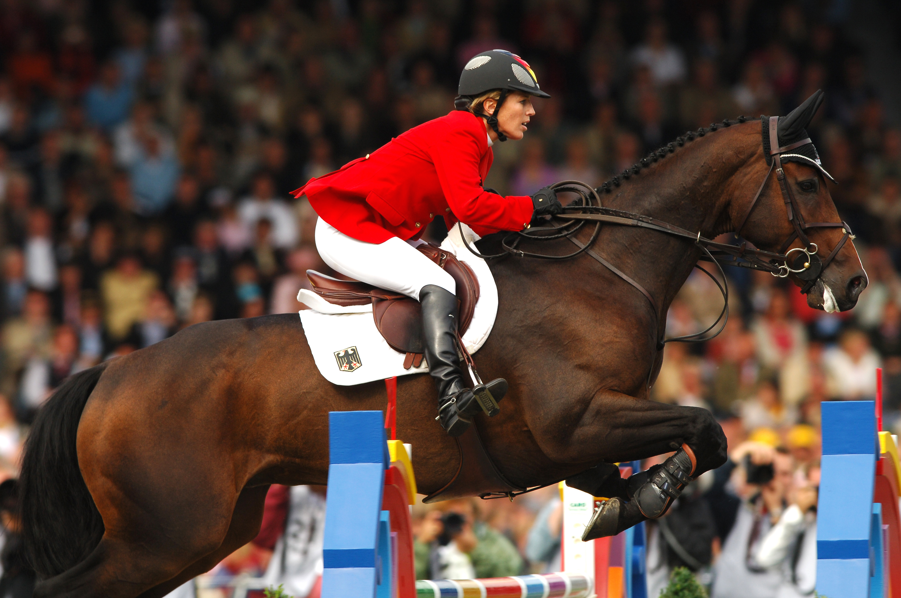 L'exceptionnel Authentic lors des Jeux équestres mondiaux d'Aix-la-Chapelle en 2006. 