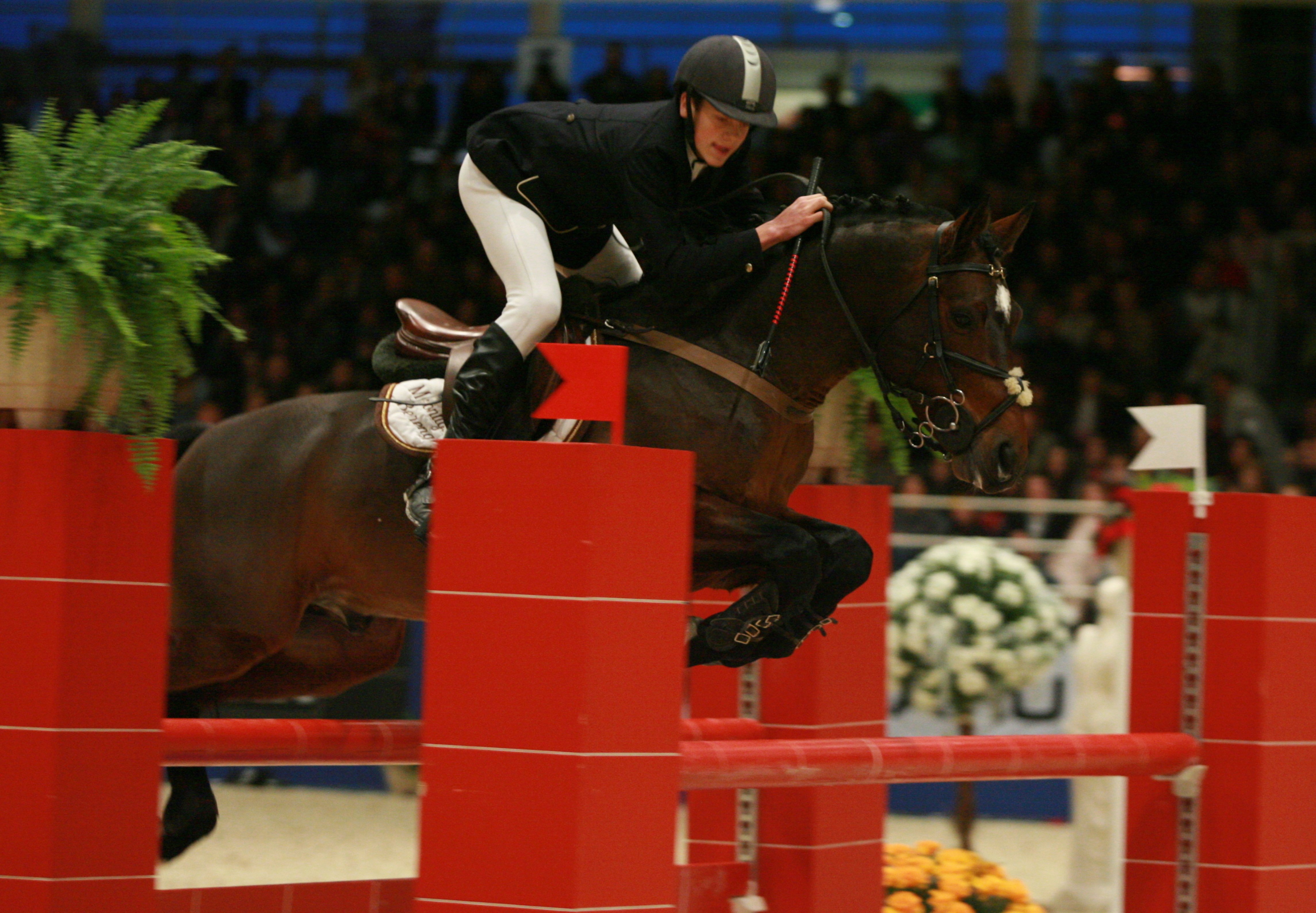  Ici lors du Salon du cheval de Paris 2007, Yann accomplit ses plus belles années à poney avec le PFS Moonlight Berenger. 