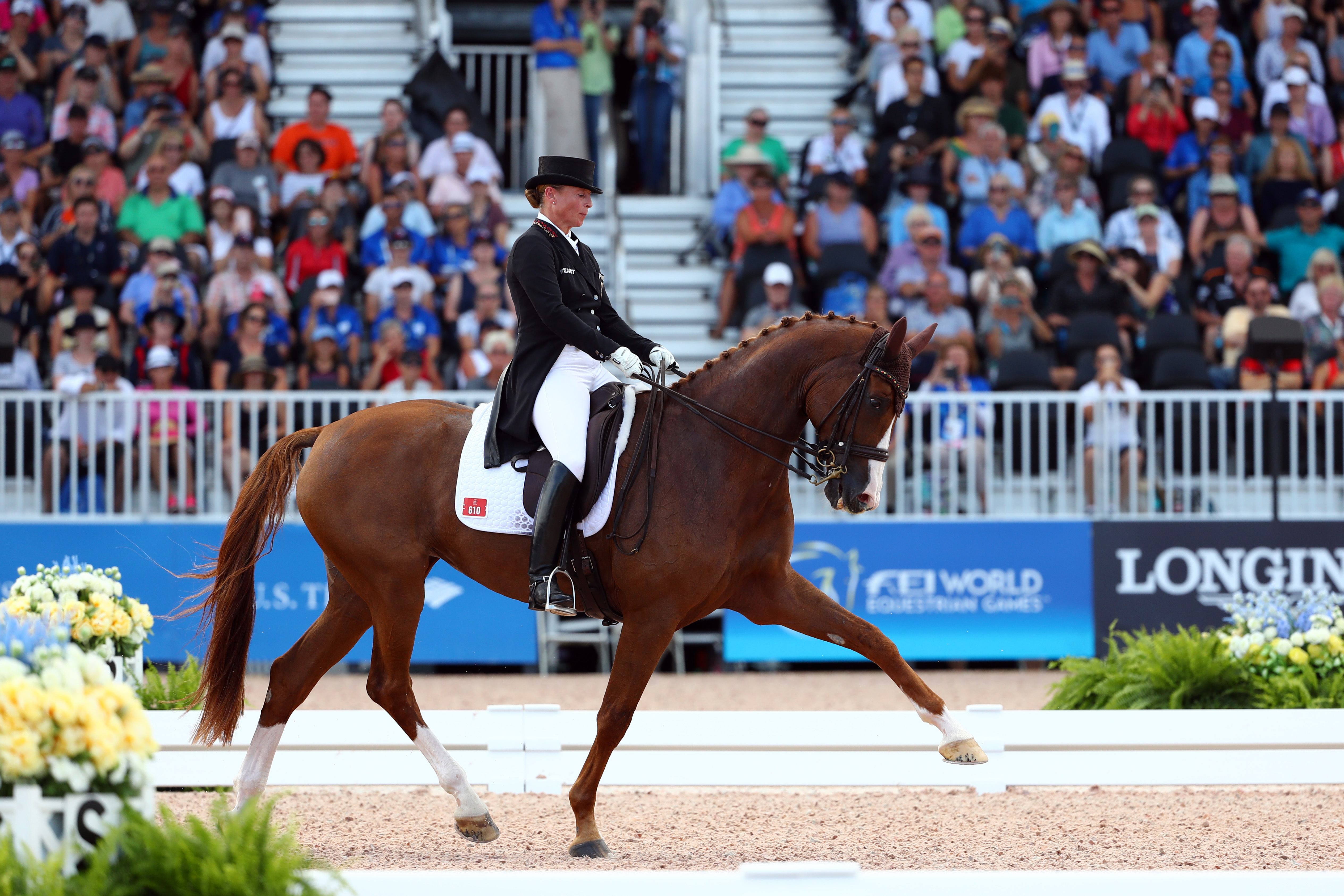 Isabell Werth semble bien partie pour prendre sa revanche sur les Jeux équestres mondiaux de Normandie.