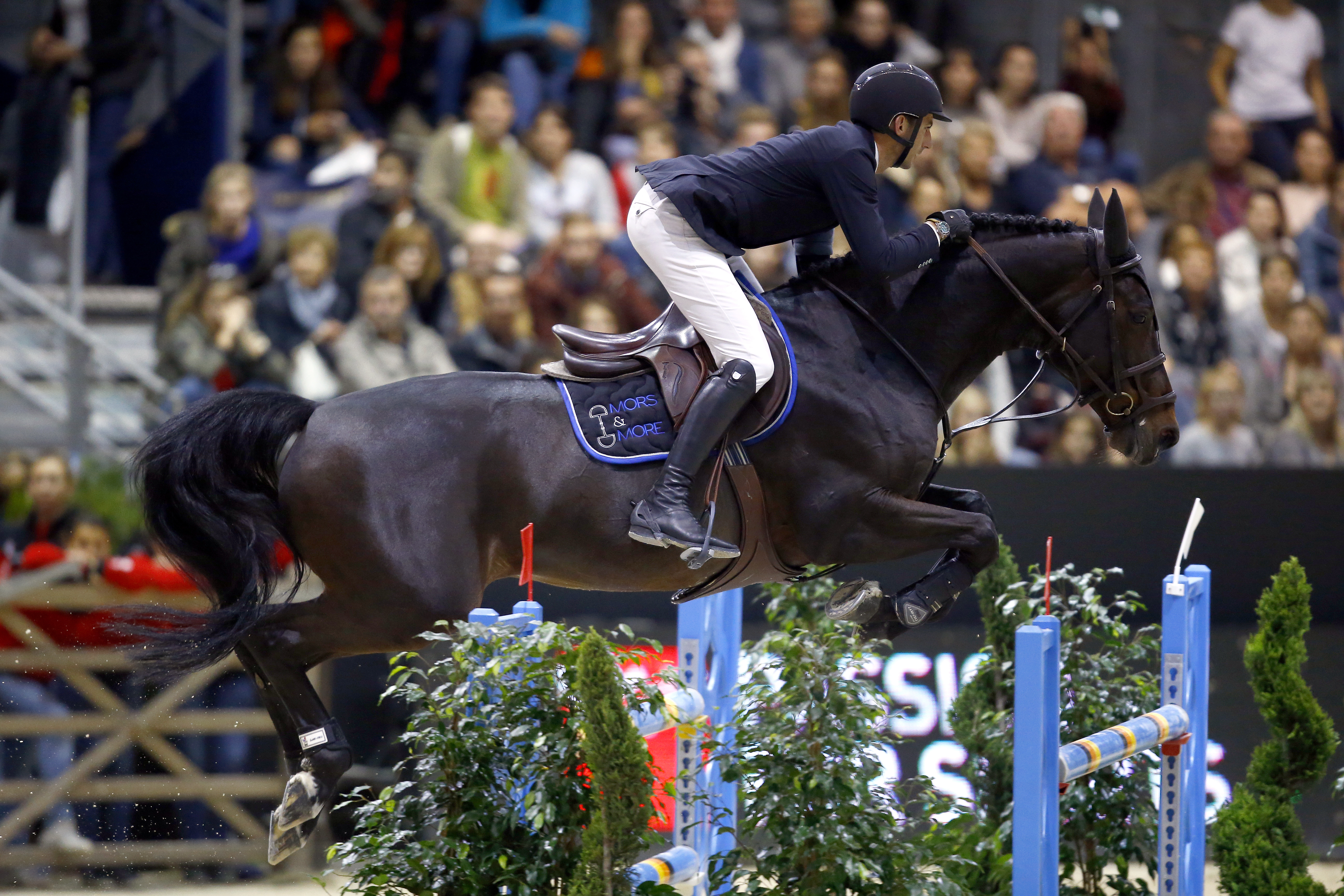 Cette année, Benoit Cernin a notamment remporté le Grand Prix CSI 2* d'Equita Lyon sur Tea Star d'Oyale.