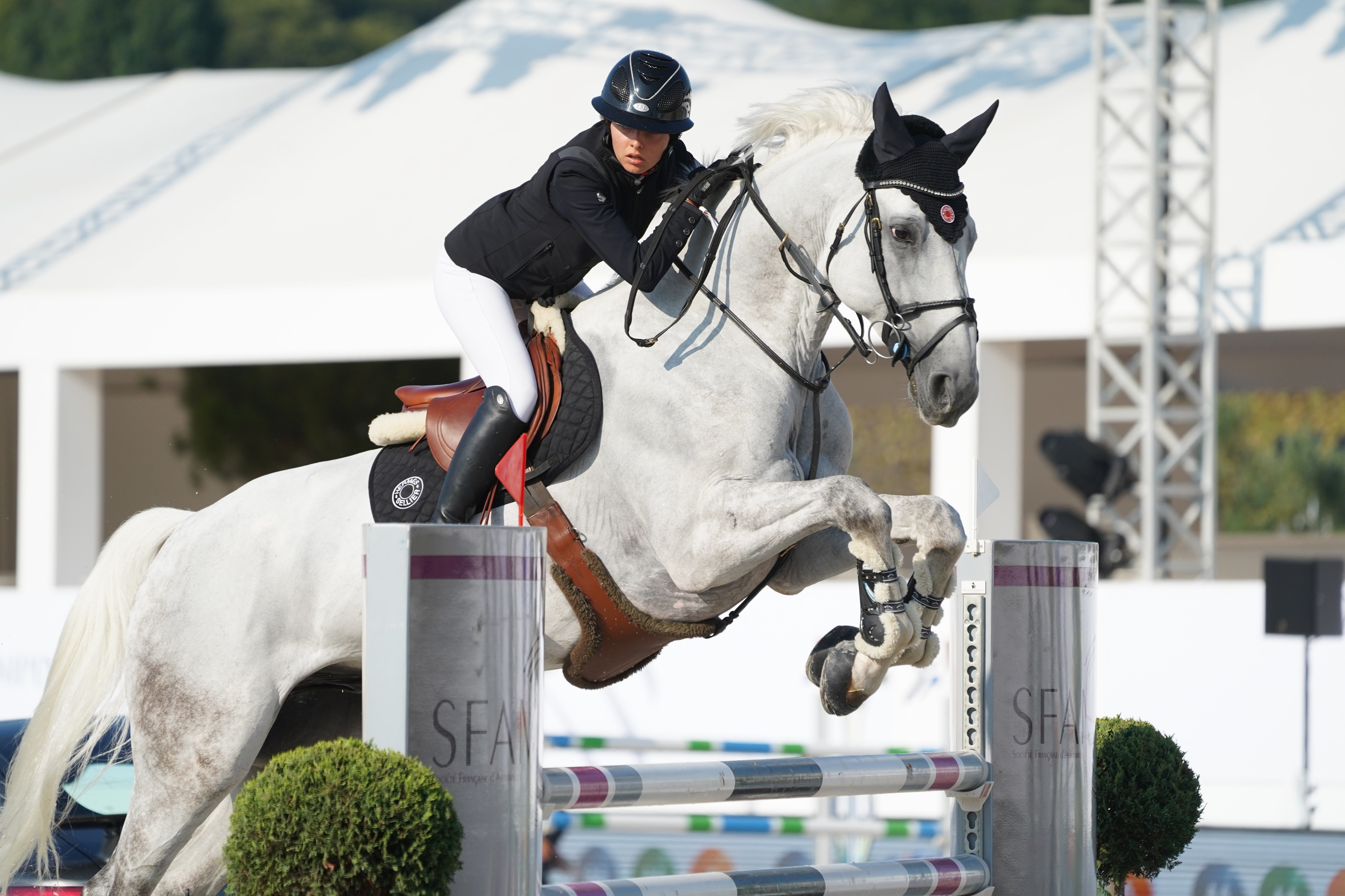 Jennifer Hochstadter a également été la cavalière de Berlux Z. 