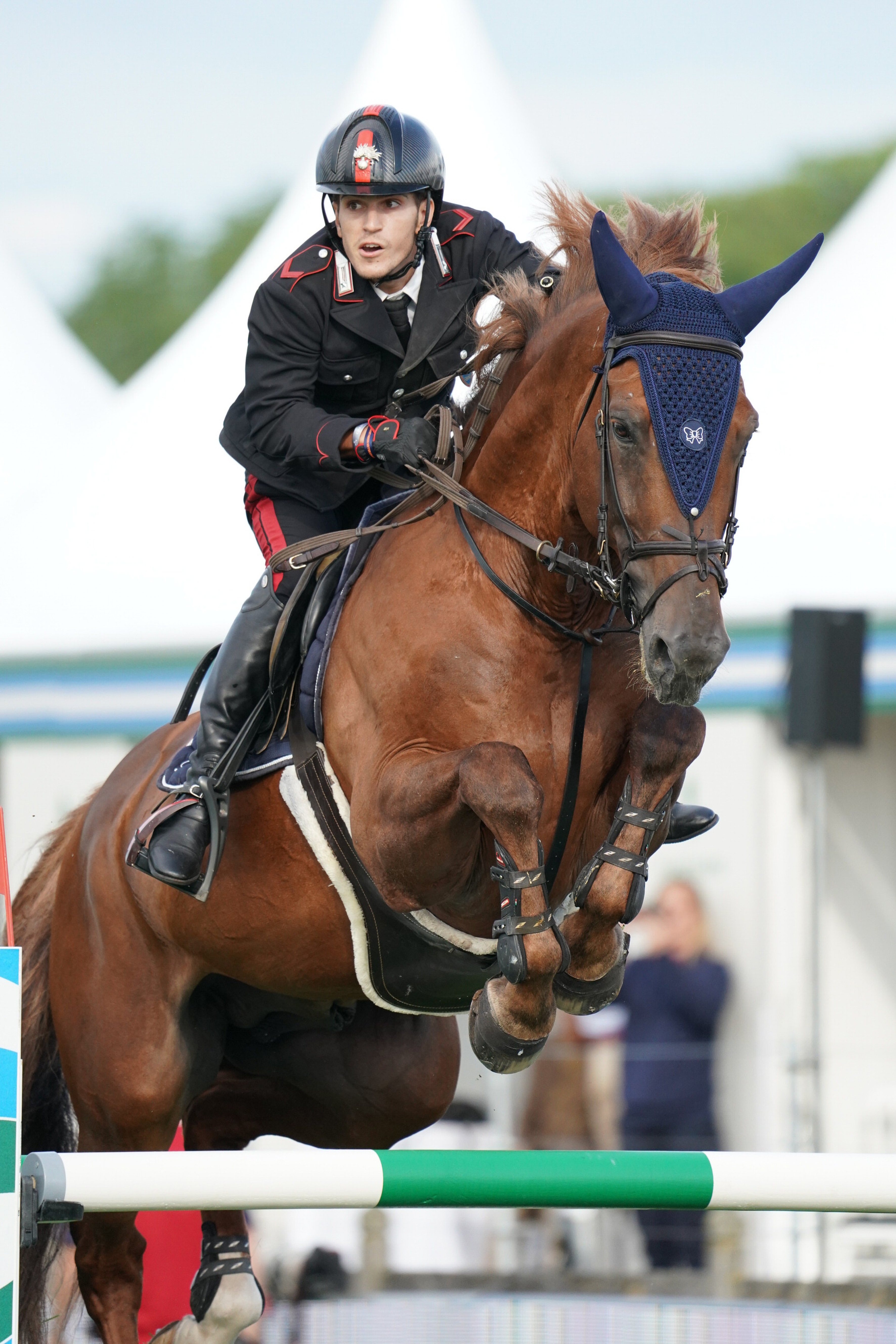 En juin, Filippo Marco Bologni s'est imposé avec Diplomat dans une épreuve à 1,45m du CSIO 5* au La Baule. 