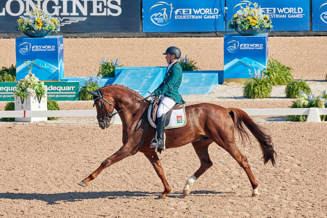 Rodolpho Riskalla et Don Henrico ont remporté deux médailles d’argent aux Jeux équestres mondiaux de 2018 à Tryon, aux États-Unis.