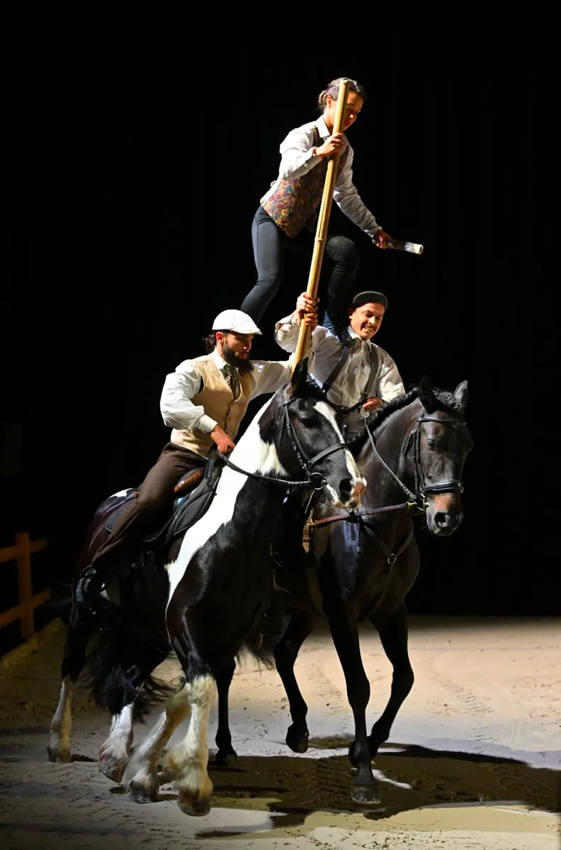 Cette année encore, les spectacles ont trouvé leur public.