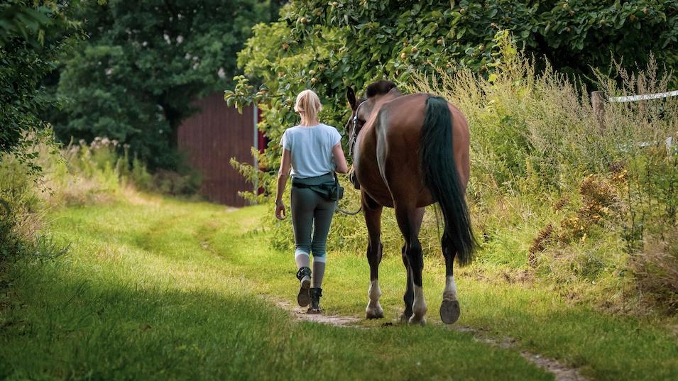 Passer plus de temps avec son cheval est l’un des premiers critères lorsqu’il est question de l’héberger chez soi.