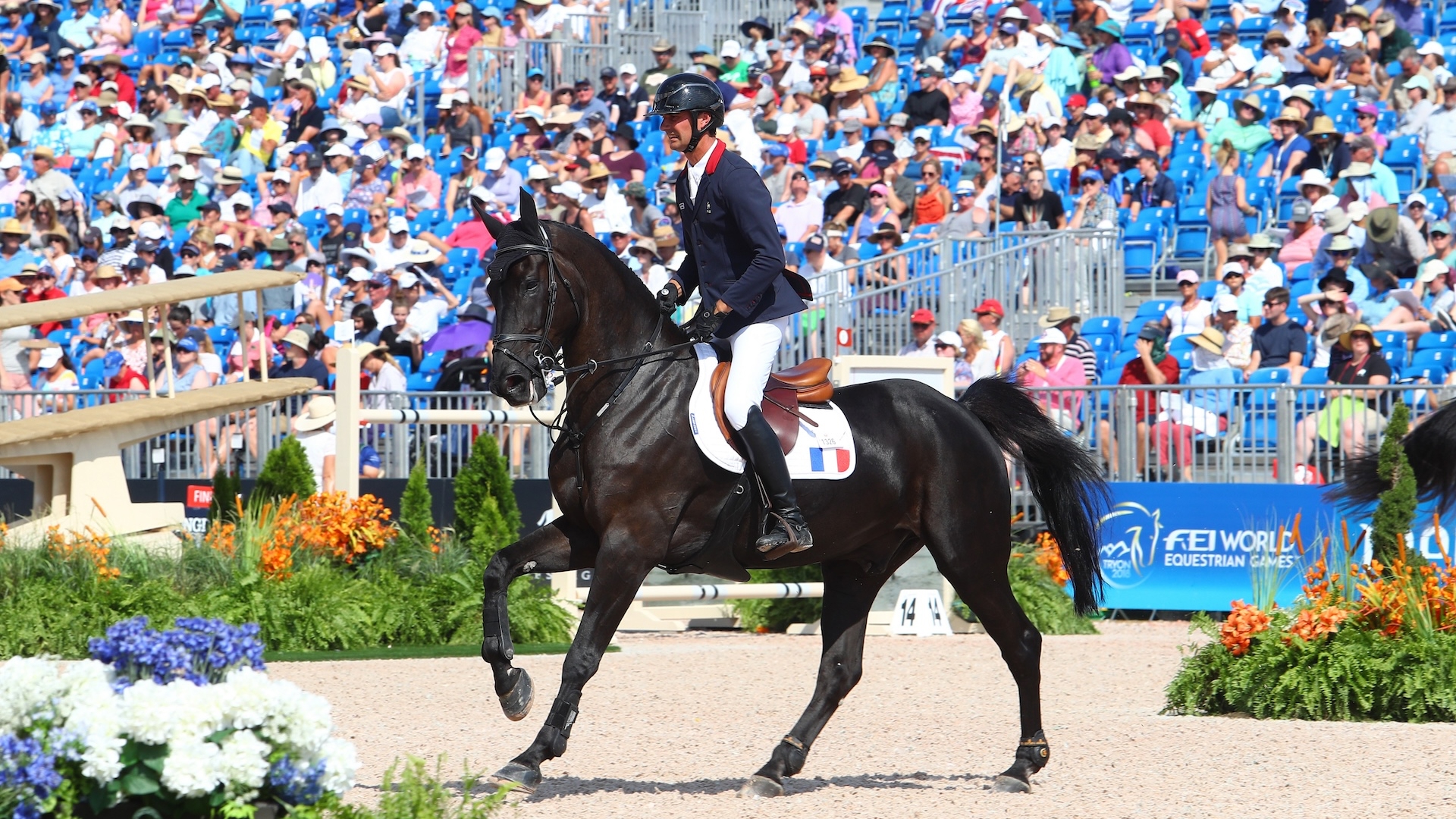 Le duo a notamment représenté la bannière tricolore aux Jeux équestres mondiaux de Tryon, en 2018. 