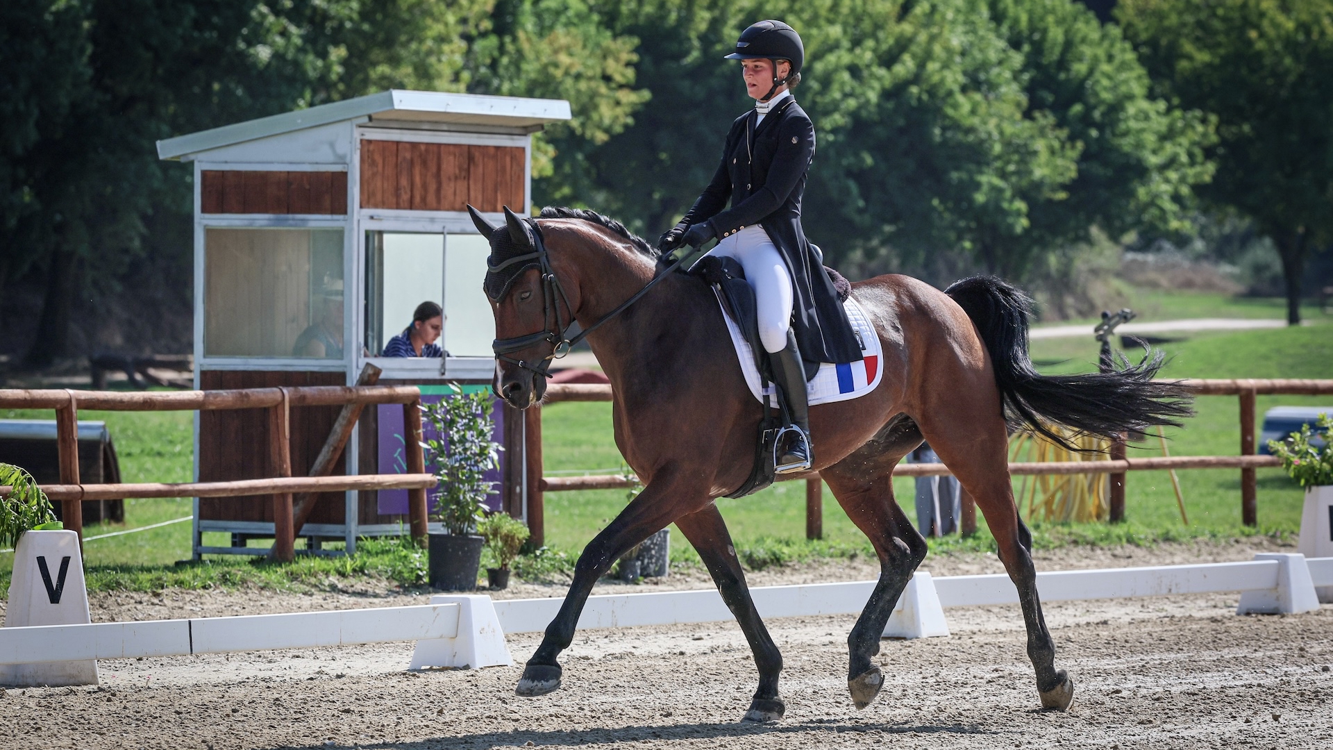 Lisa Gualtieri et A D'Aunis lors du dressage des championnats d'Europe de Strzegom.