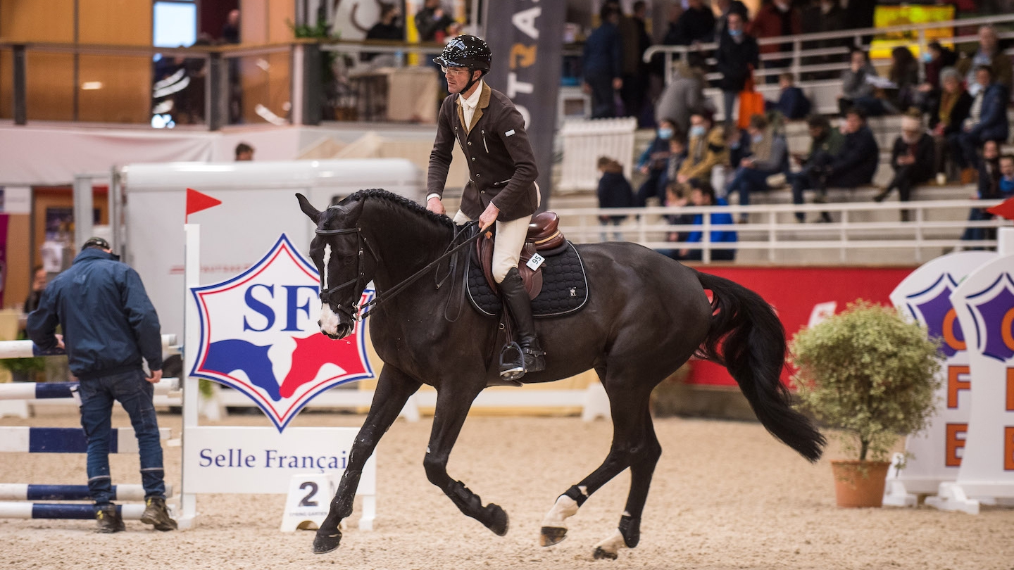 Horizon du Cerisier sous la selle du formateur de jeunes chevaux Stéphane Dufour. 