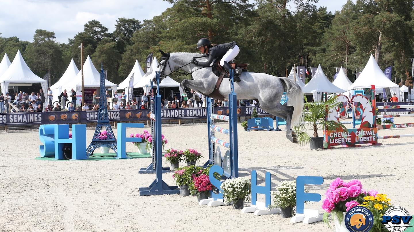 Groovy des Brimbelles, championne des six ans à Fontainebleau. 