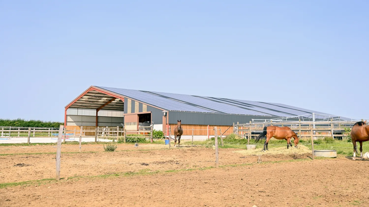 Chez Vincent Blanchard, cavalier formateur et éleveur du Marais poitevin, on produit de l’électricité renouvelable, dont le surplus est revendu à l’extérieur