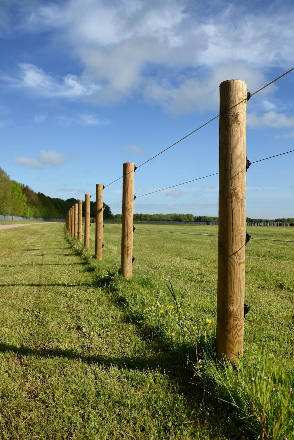Plus de la moitié des sondés estime que les clôtures en bois couplées d’électricité s’imposent comme le meilleur choix possible.