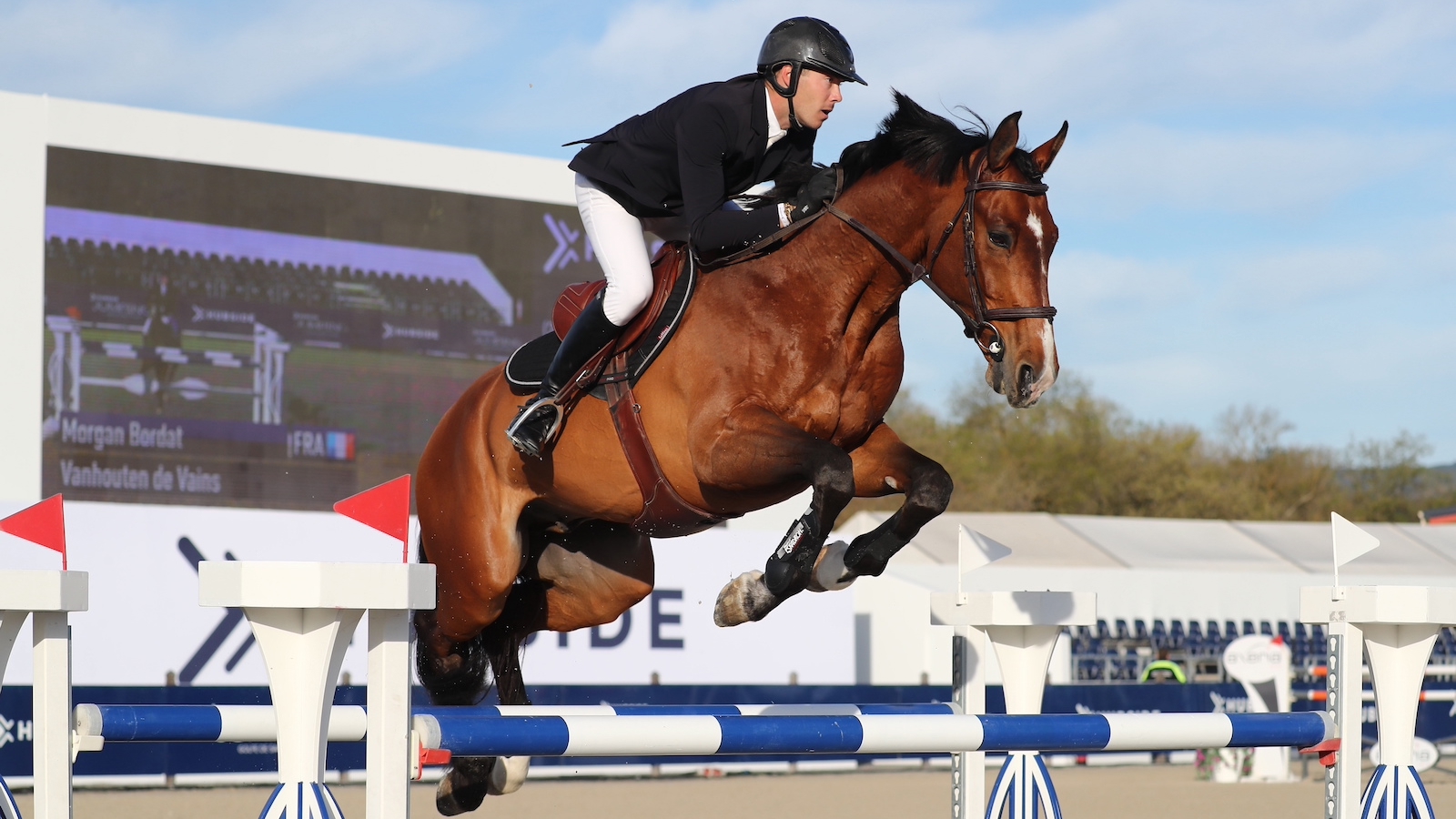 Morgan Bordat et Vanhouten vendredi dans l'épreuve 1,45m du CSI 2* de Grimaud. 