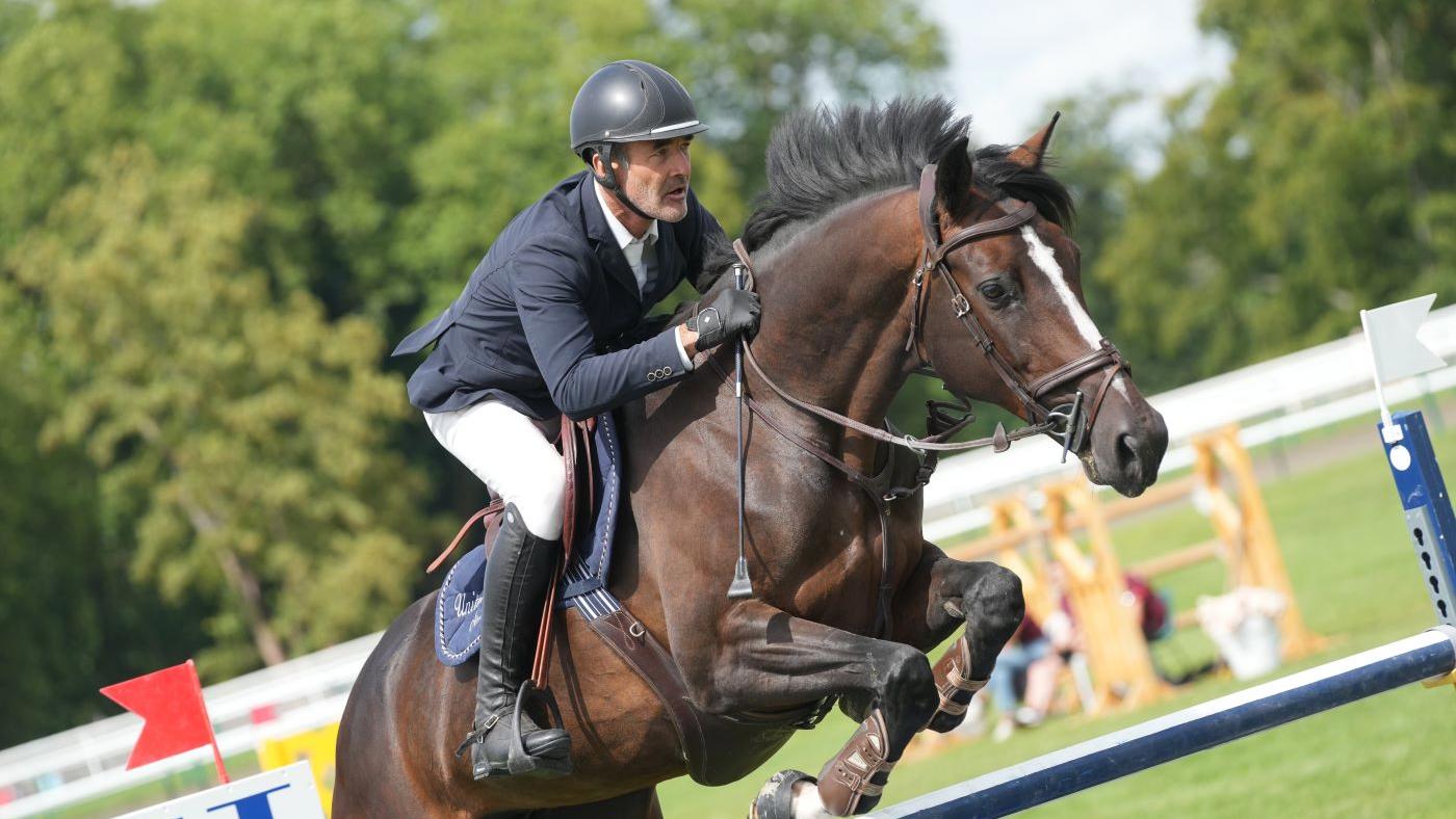 “La fille d’United, Élégante de Curaine (SF, United Sunheup x Jouyeux Ardent) a neuf ans et a déjà concouru en 5*.”