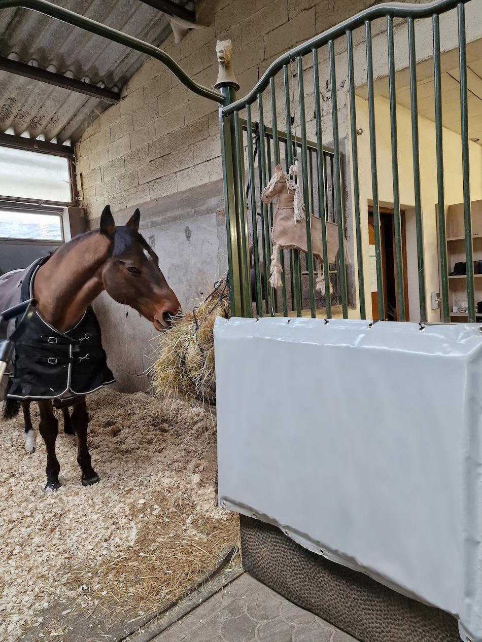 Pour les chevaux âgés susceptibles de mal calculer leurs mouvements, il est possible d’installer des pads de protection sur les parois, en complément d’une litière confortable et d’un tapis de couchage.