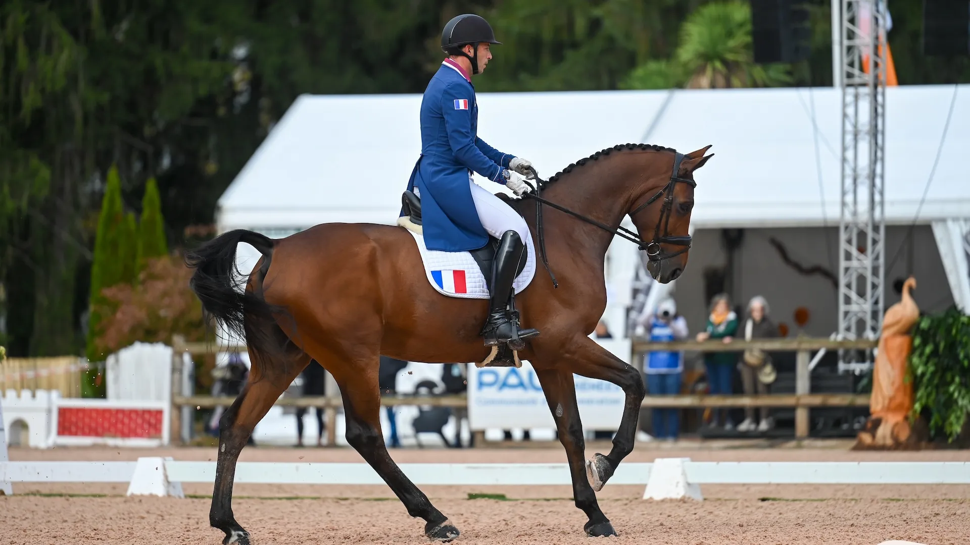 Sébastien Cavaillon et Elipso de la Vigne sont sur le podium provisoire du 5*-L de Pau. 