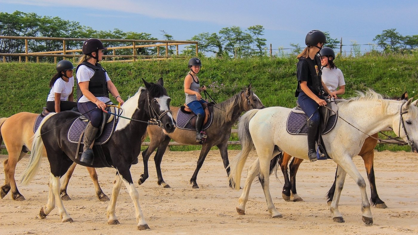 À Vaulx en Velin à deux pas de Lyon, les cavaliers du Poney Club UCPA Carré de Soie peuvent profiter de la carrière au centre de l'hippodrome et des infrastructures à proximité.