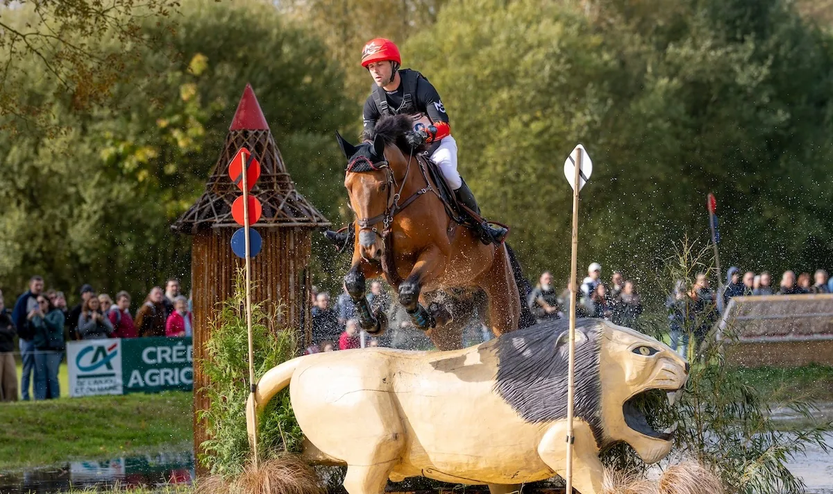 En 2025, Cyril Gavrilovic a signé un Top 10 au Lion d’Angers avec Joy d'Austral, alors âgé de six ans.