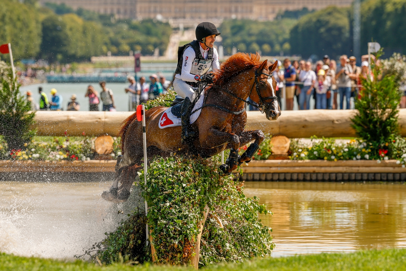 Selon le calcul de la WBFSH, Dao de l’Océan a été le meilleur Selle Français en compétition internationale durant la saison 2024