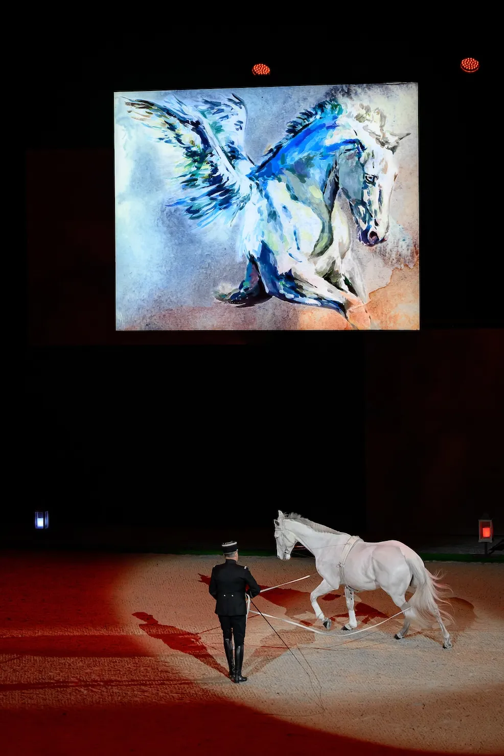 Le Cadre noir de Saumur présente son nouveau spectacle en 2026.