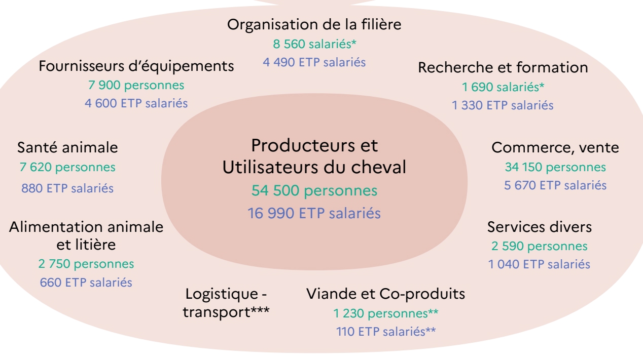 Infographies IFCE