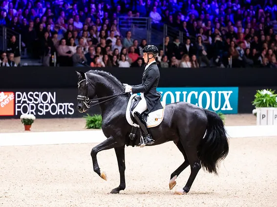 Justin Verboomen et Zonik Plus seront à nouveau à Lyon cette année.