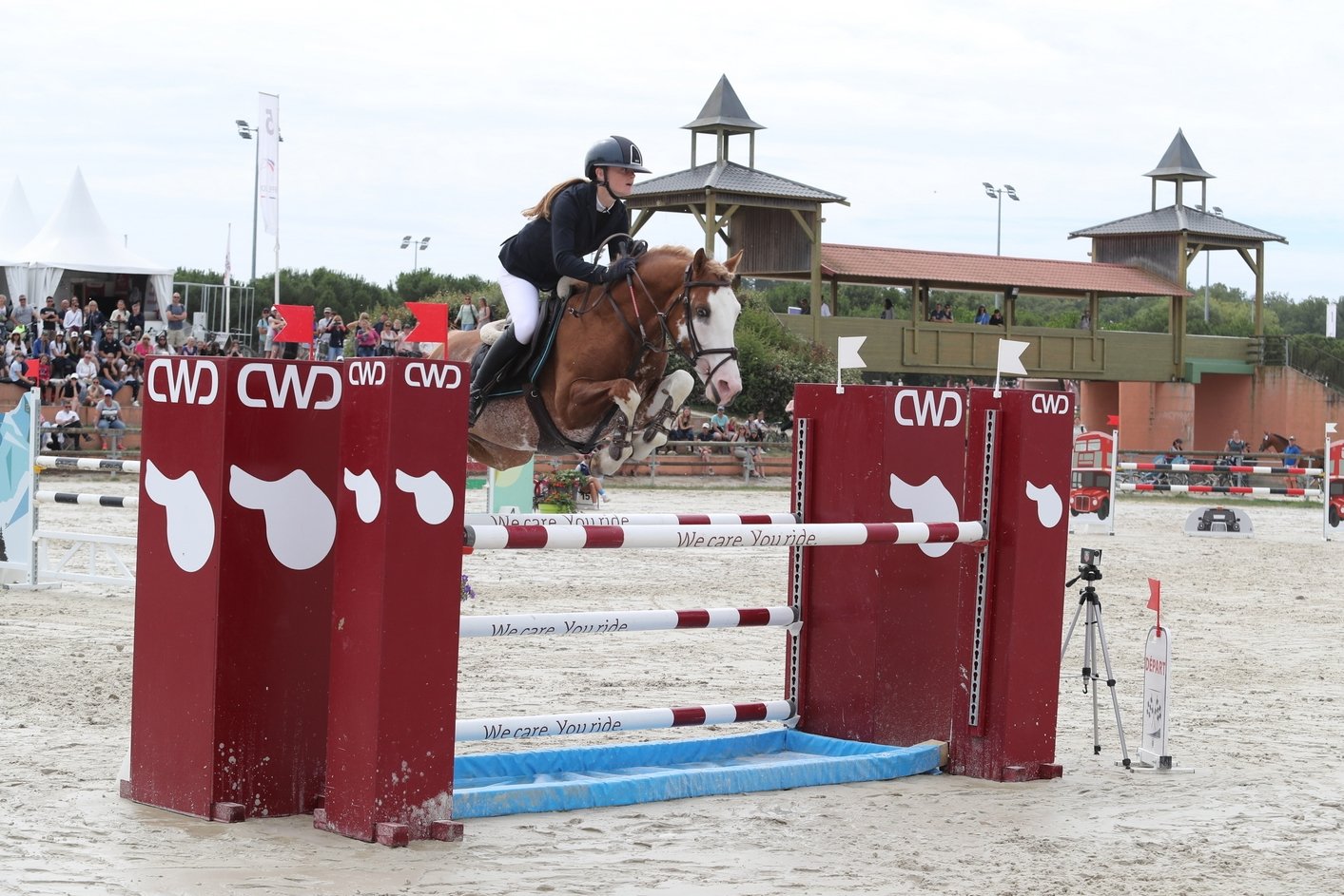 Le meilleur poney de la saison 2024 a été Goldwyn d’Embets