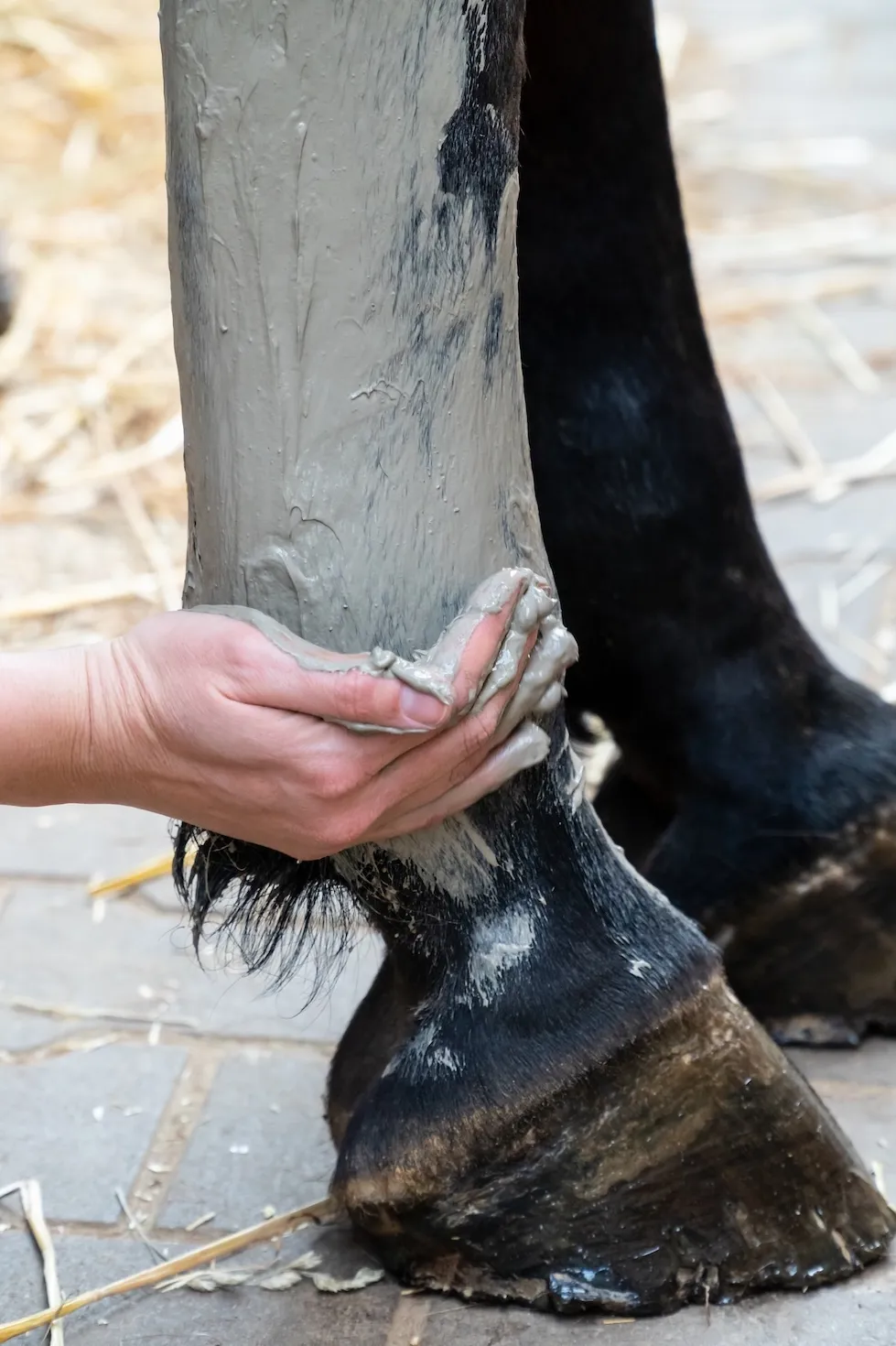 L’argile propose de nombreux bienfaits dans le cas d’une inflammation tendineuse.