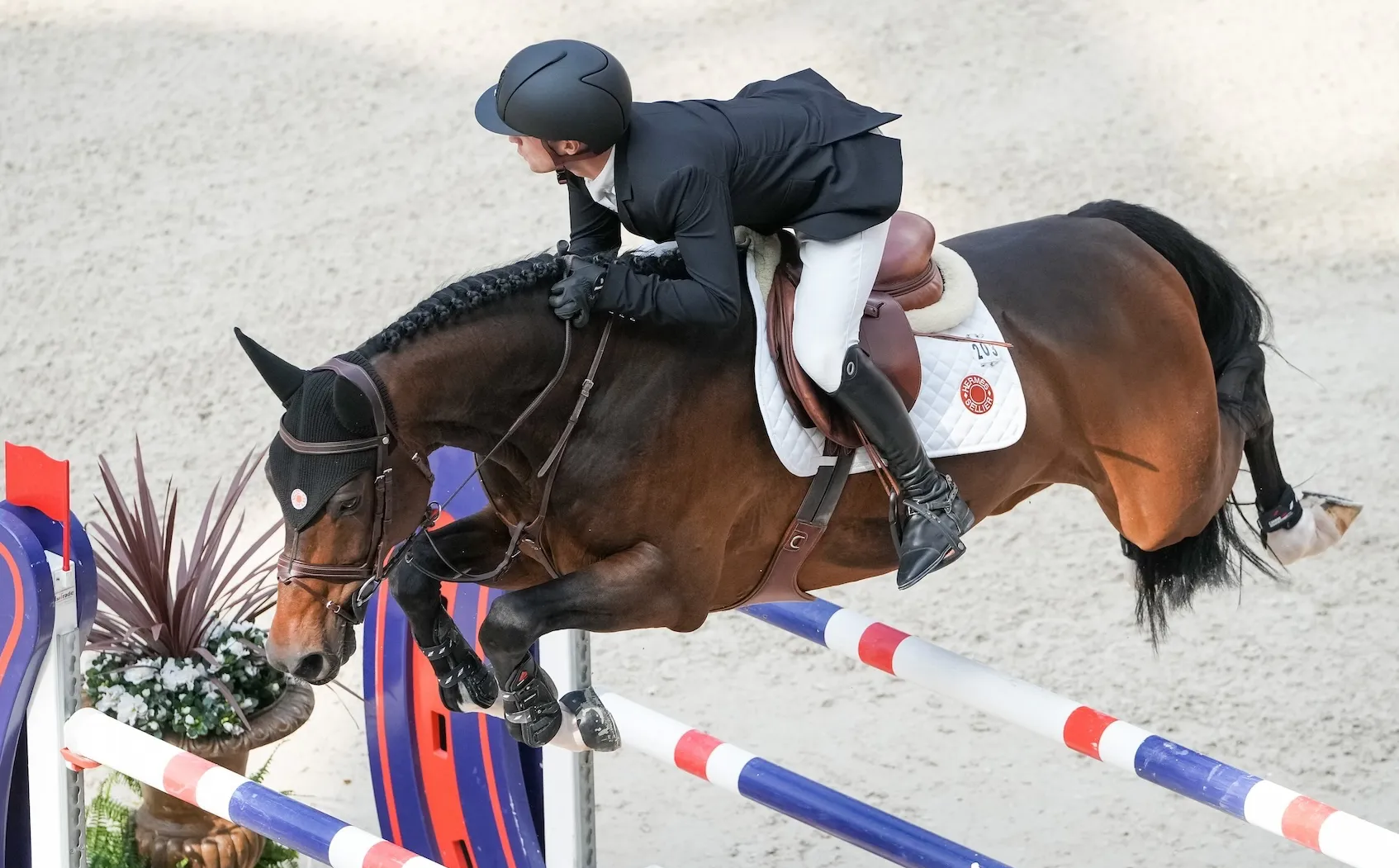 Mathieu Guéry chevauchant Time-Breaker S Z au Saut Hermès à 1m45 le 19 mars dernier