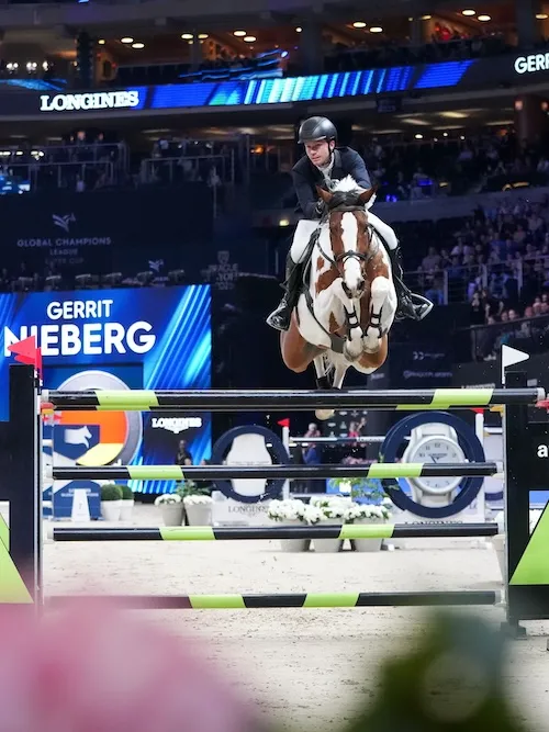 Ping Pong van de Lentamel.