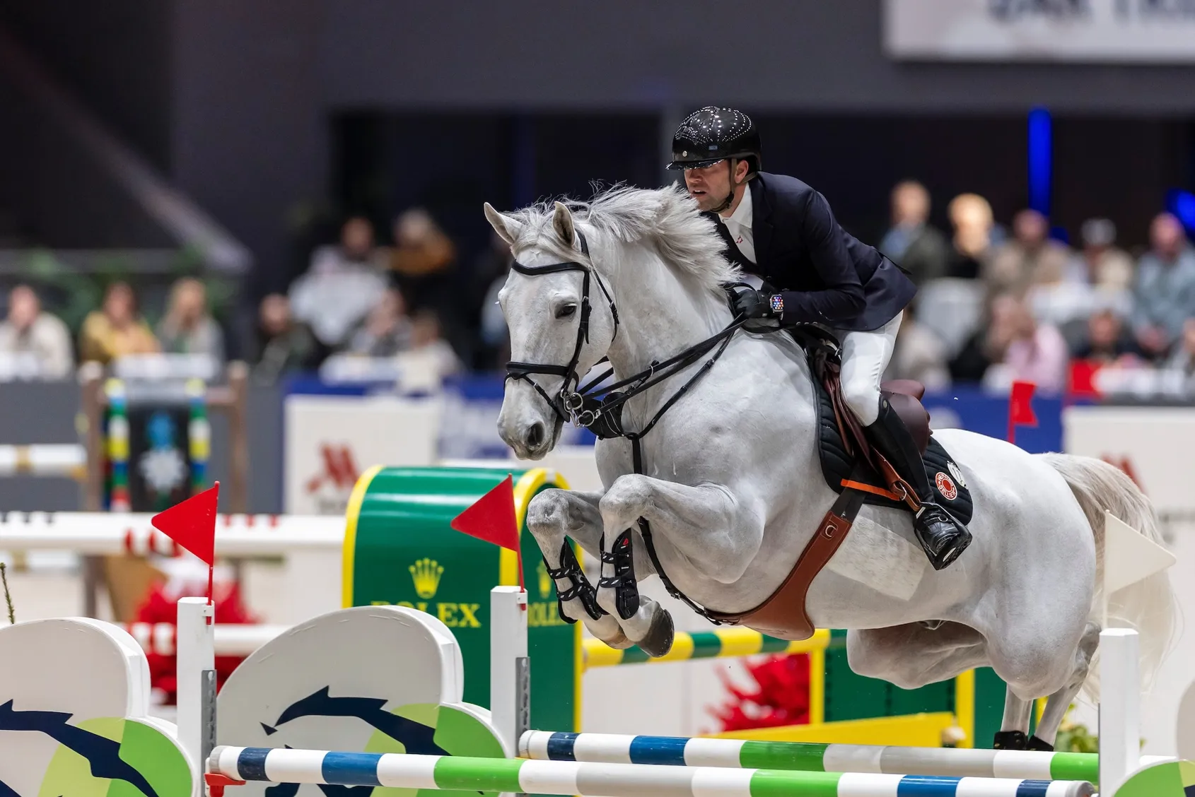 Arrivé dans le piquet de Simon Delestre à l’automne, Gatsby du Tillard s’impose peu à peu comme un partenaire d’avenir. 