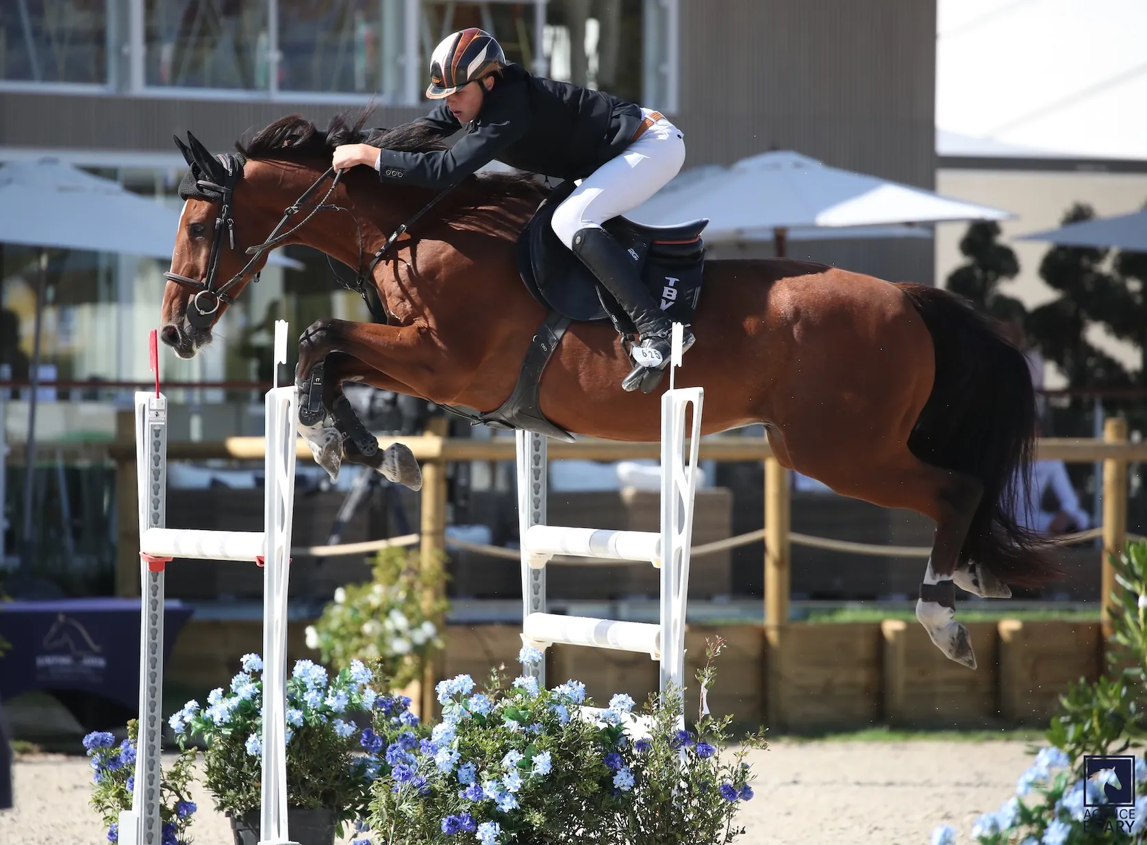 Le cavalier Alsacien regarde avec ambition le futur 