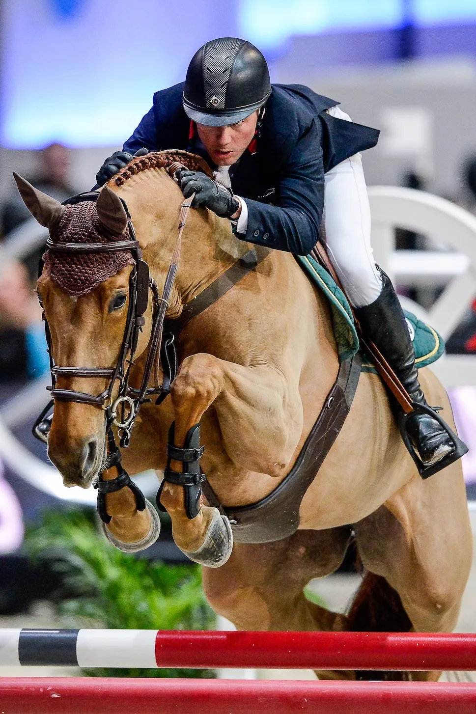 I Am Moerhoeve’s Star, alias Zazu, est mis en lumière.