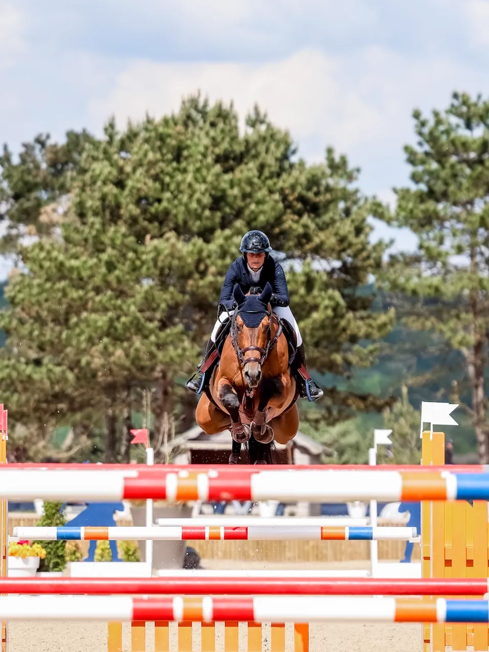 Sara Brionne et Grand Duc du Paradiso sont en pleine ascension.