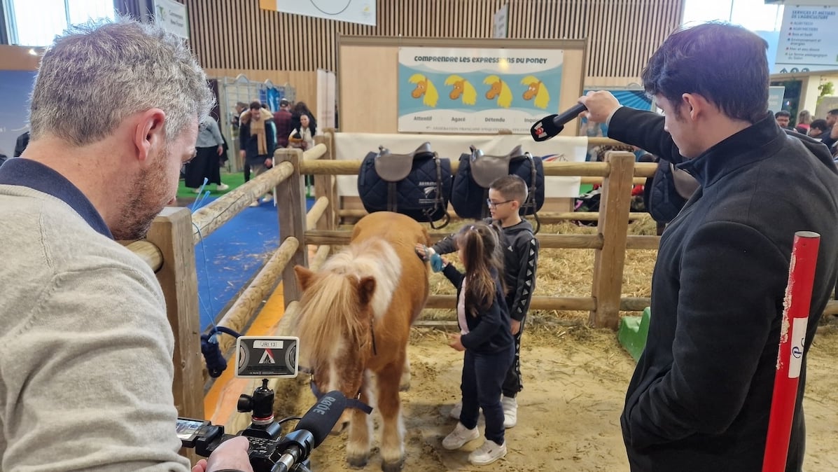 Tournage dans le poney club éphémère