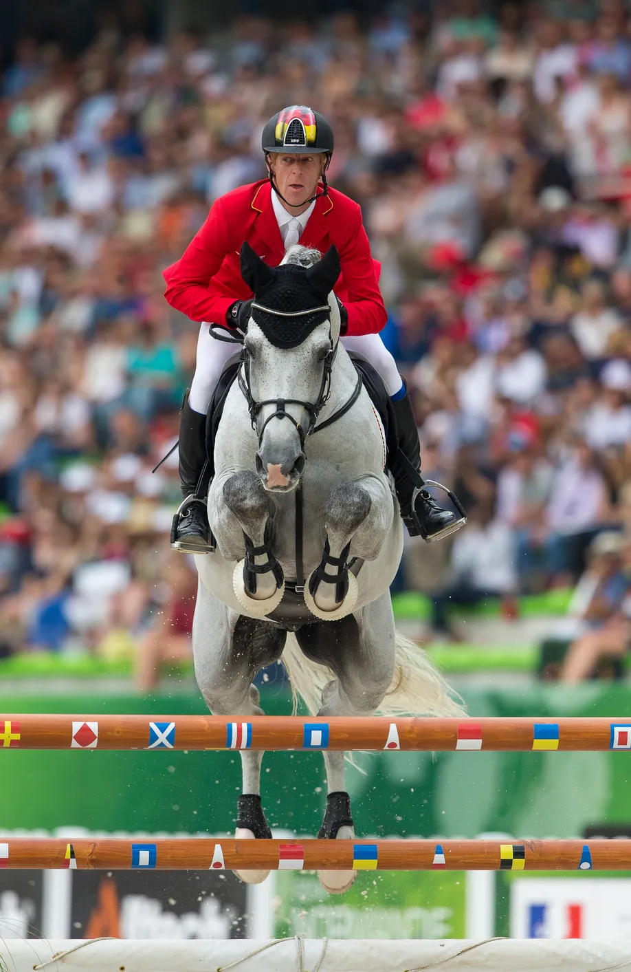Les Jeux équestres mondiaux de Normandie ont constitué le seul grand championnat extérieur de Cornado